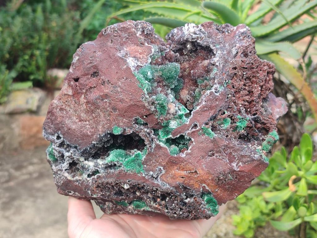 Natural Large Ball Malachite Specimen with Drusy Quartz on Red Dolomite x 1 From Mindingi Mine, Kambove, Congo