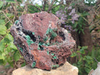 Natural Large Ball Malachite Specimen with Drusy Quartz on Red Dolomite x 1 From Mindingi Mine, Kambove, Congo