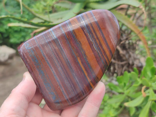 Polished Banded Tiger Iron Standing Display Pieces x 4 From South Africa
