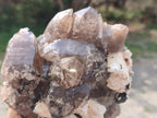 Natural Smokey Quartz Clusters with Feldspar and Schorl Black Tourmaline x 3 From Erongo, Namibia