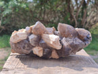 Natural Smokey Quartz Clusters with Feldspar and Schorl Black Tourmaline x 3 From Erongo, Namibia