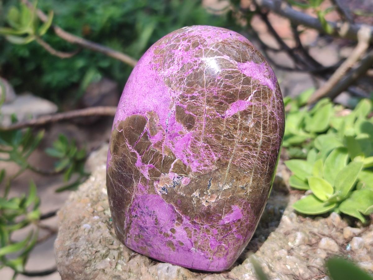 Polished Stichtite Standing Display Pieces x 2 From Barberton, South Africa