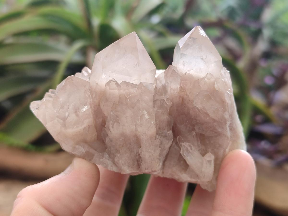 Natural Cascading White Phantom Smokey and Citrine Luena Quartz Clusters x 12 From Luena, Congo