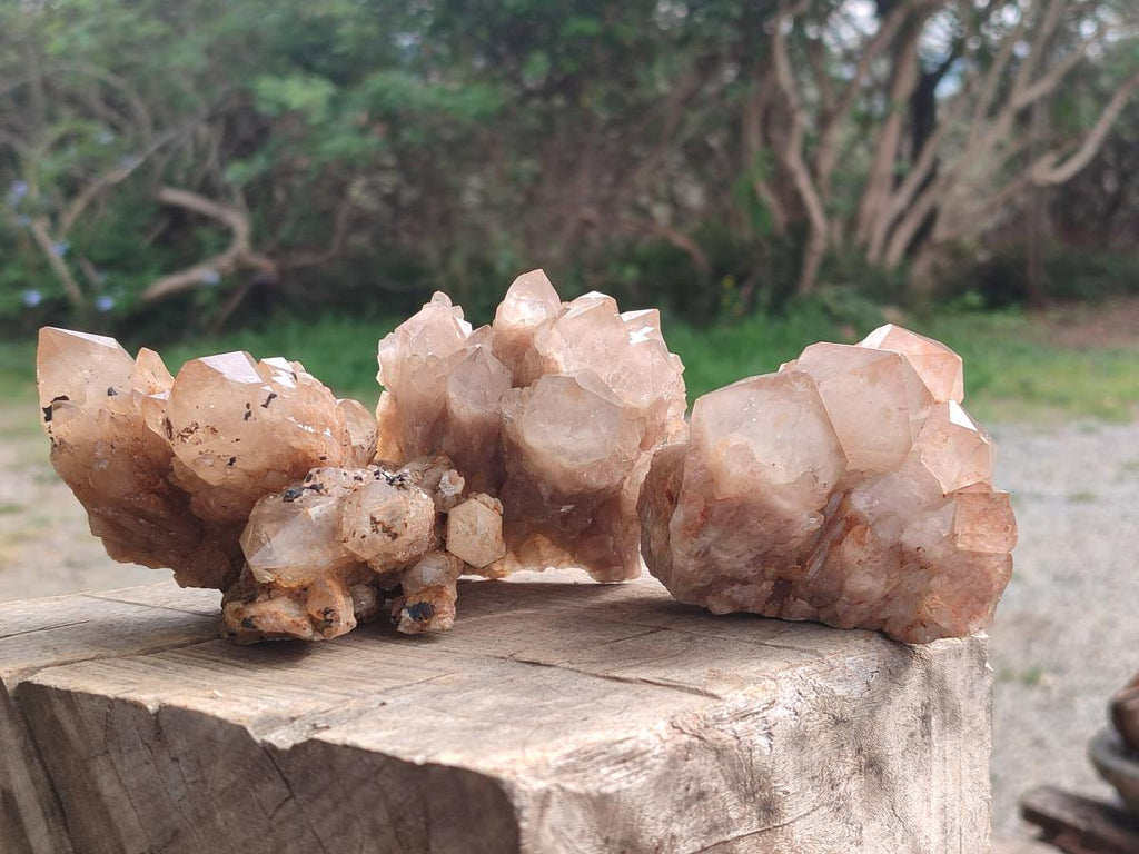 Natural Cascading White Phantom Smokey and Citrine Luena Quartz Clusters x 12 From Luena, Congo