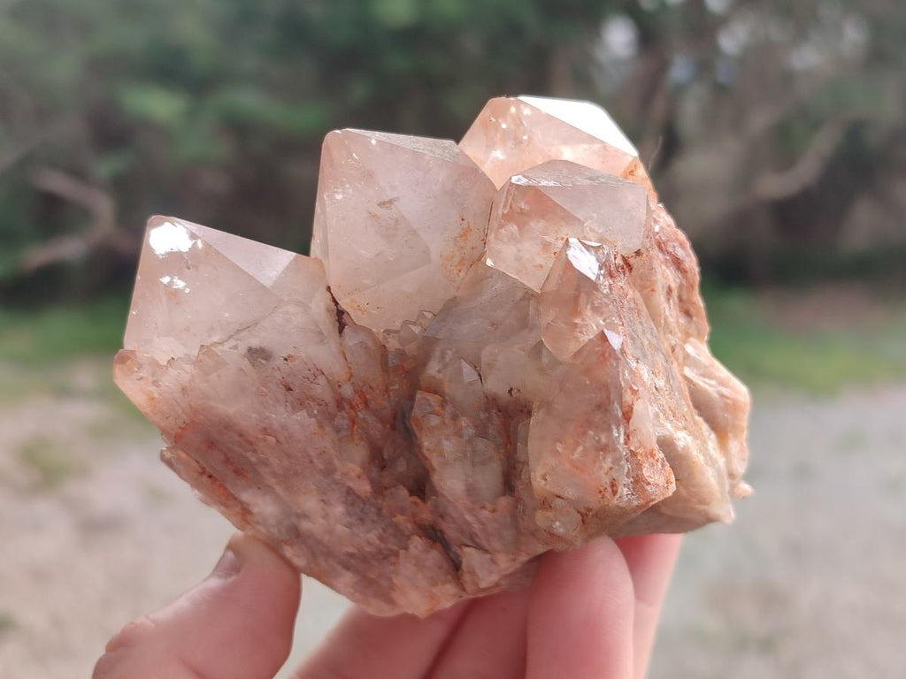 Natural Cascading White Phantom Smokey and Citrine Luena Quartz Clusters x 12 From Luena, Congo