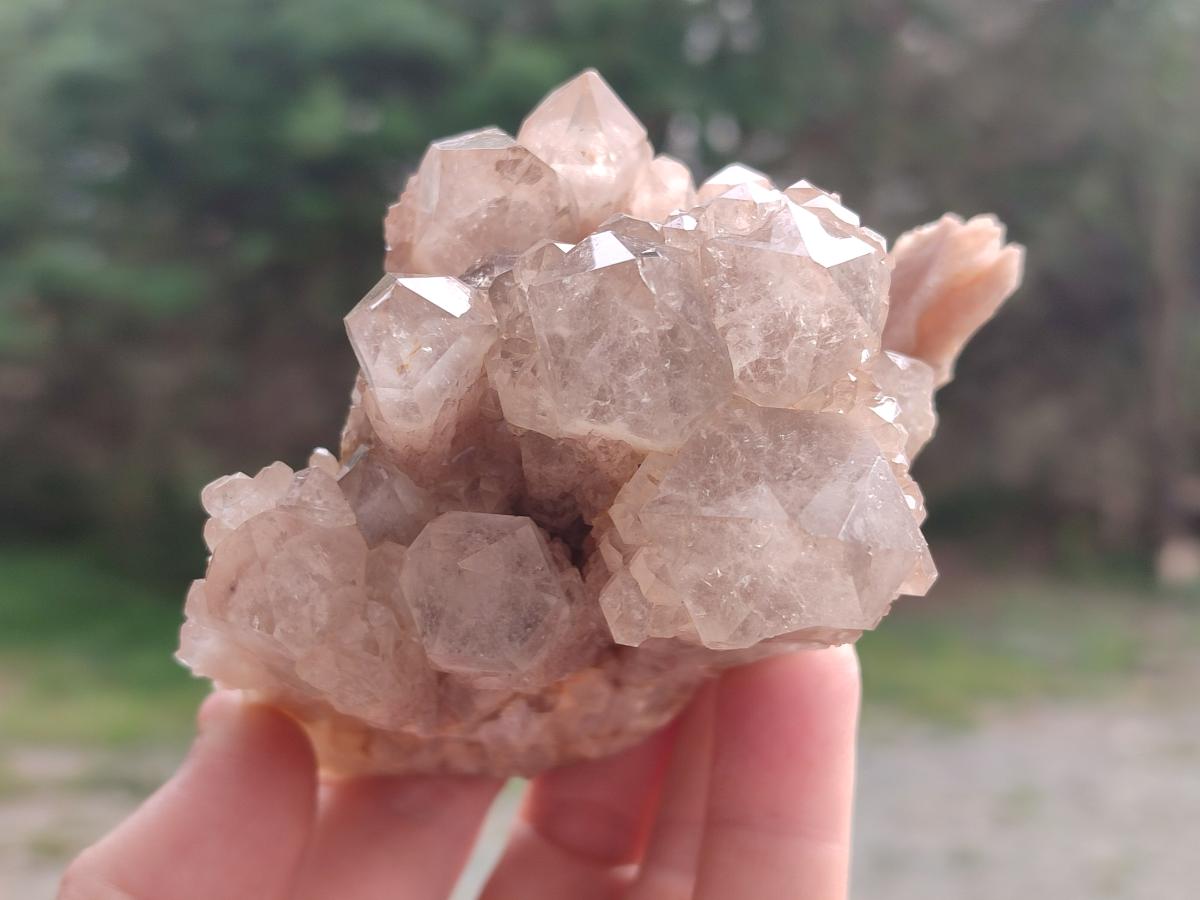 Natural Cascading White Phantom Smokey and Citrine Luena Quartz Clusters x 12 From Luena, Congo