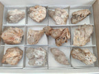 Natural Cascading White Phantom Smokey and Citrine Luena Quartz Clusters x 12 From Luena, Congo
