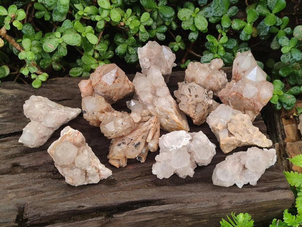 Natural Cascading White Phantom Smokey and Citrine Luena Quartz Clusters x 12 From Luena, Congo