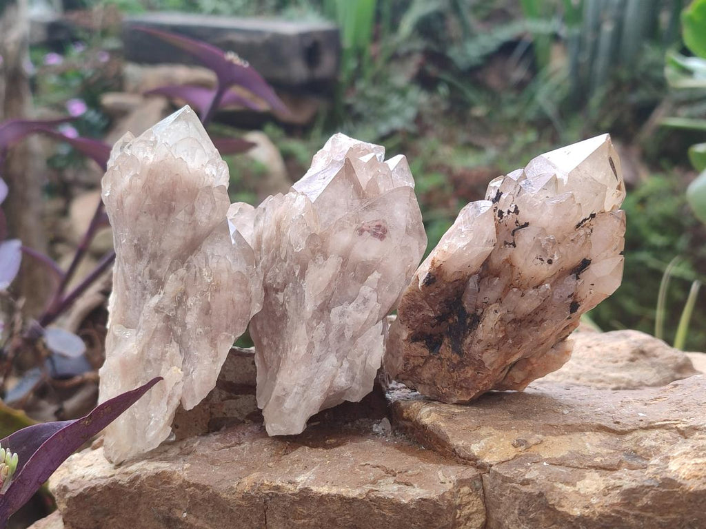 Natural Cascading White Phantom Smokey and Citrine Luena Quartz Clusters x 12 From Luena, Congo