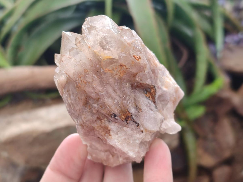 Natural Cascading White Phantom Smokey and Citrine Luena Quartz Clusters x 12 From Luena, Congo