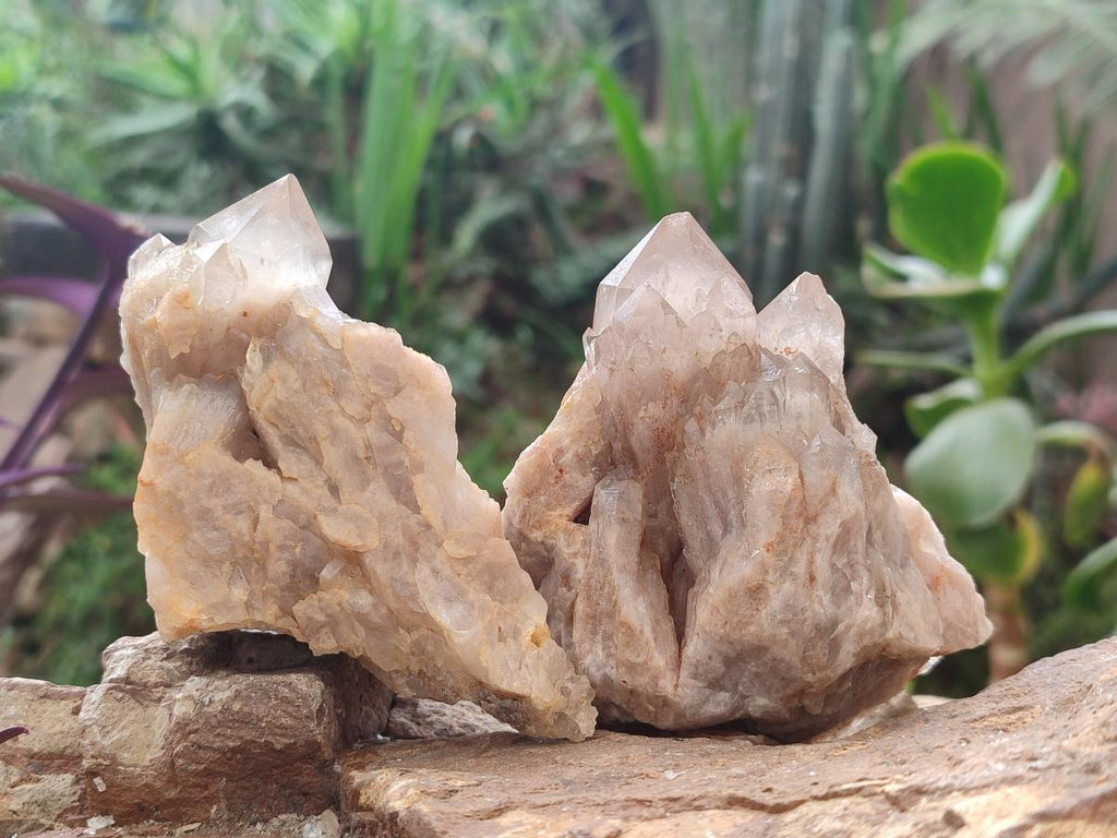 Natural Cascading White Phantom Smokey and Citrine Luena Quartz Clusters x 12 From Luena, Congo