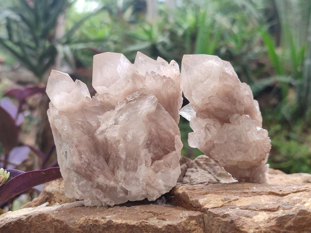 Natural Cascading White Phantom Smokey and Citrine Luena Quartz Clusters x 12 From Luena, Congo