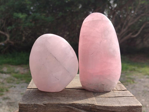 Polished Rose Quartz Standing Display Pieces x 7 From Zimbabwe