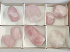 Polished Rose Quartz Standing Display Pieces x 7 From Zimbabwe