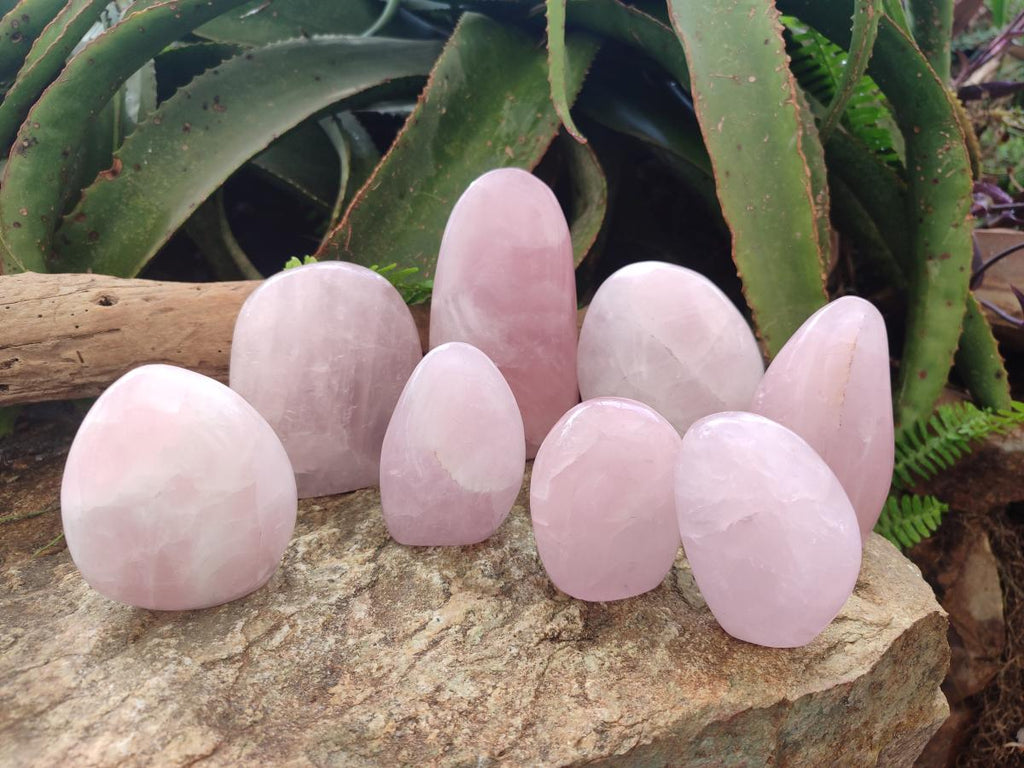 Polished Rose Quartz Standing Display Pieces x 7 From Zimbabwe