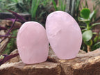 Polished Rose Quartz Standing Display Pieces x 7 From Zimbabwe