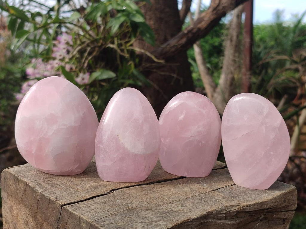 Polished Rose Quartz Standing Display Pieces x 7 From Zimbabwe