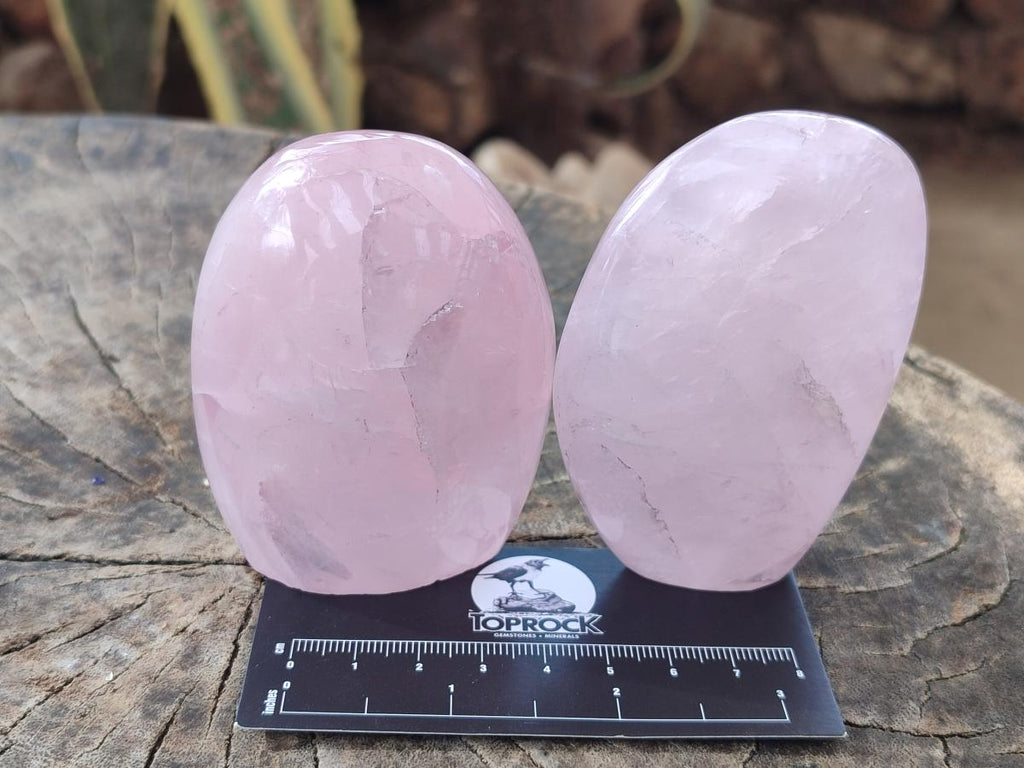 Polished Rose Quartz Standing Display Pieces x 7 From Zimbabwe