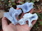Natural Etched Blue Chalcedony Specimens x 12 From Nsanje, Malawi