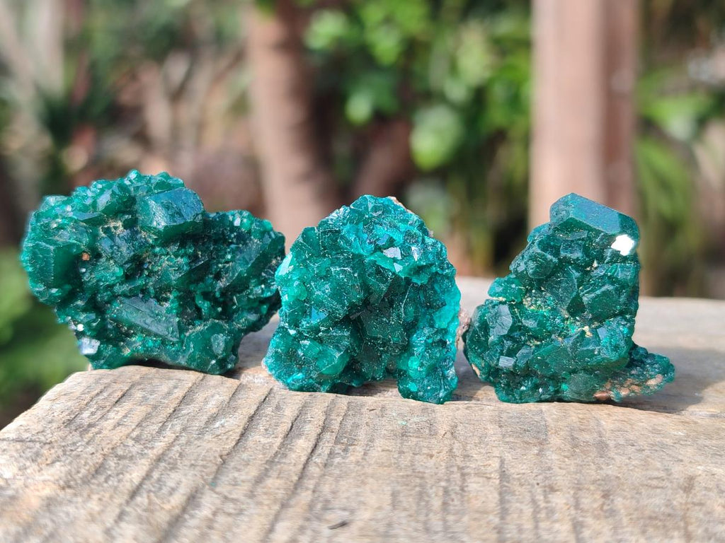 Natural Small Dioptase Specimens on Dolomite Matrix x 20 From Tantara Mine, Congo