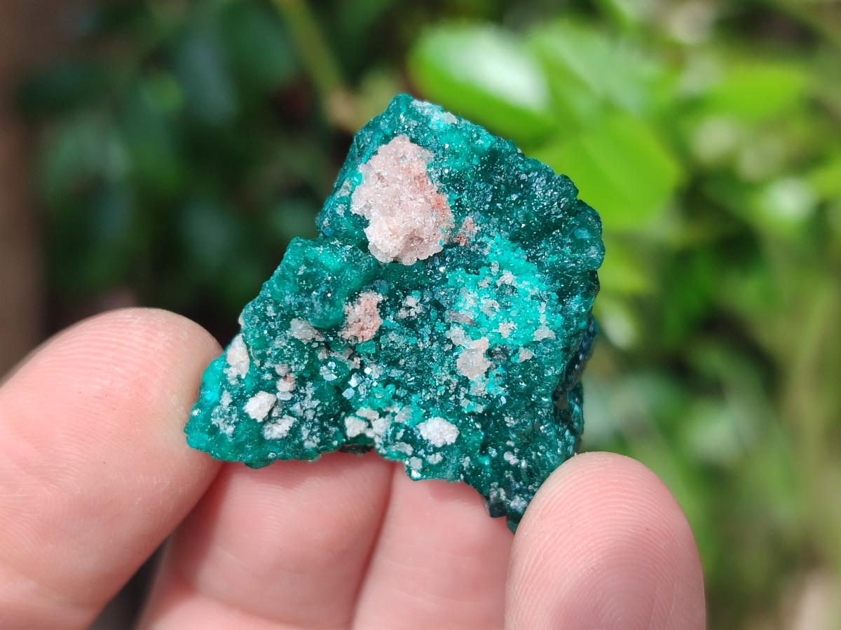 Natural Small Dioptase Specimens on Dolomite Matrix x 20 From Tantara Mine, Congo