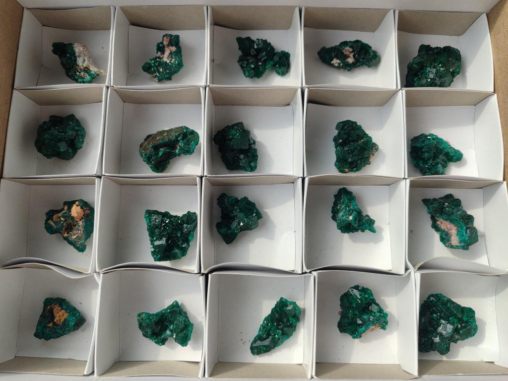 Natural Small Dioptase Specimens on Dolomite Matrix x 20 From Tantara Mine, Congo