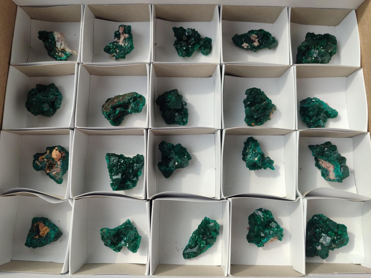 Natural Small Dioptase Specimens on Dolomite Matrix x 20 From Tantara Mine, Congo
