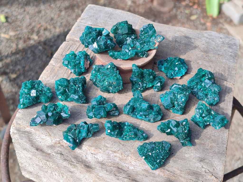 Natural Small Dioptase Specimens on Dolomite Matrix x 20 From Tantara Mine, Congo
