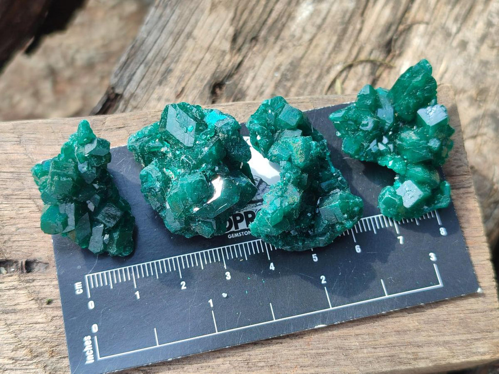Natural Small Dioptase Specimens on Dolomite Matrix x 20 From Tantara Mine, Congo