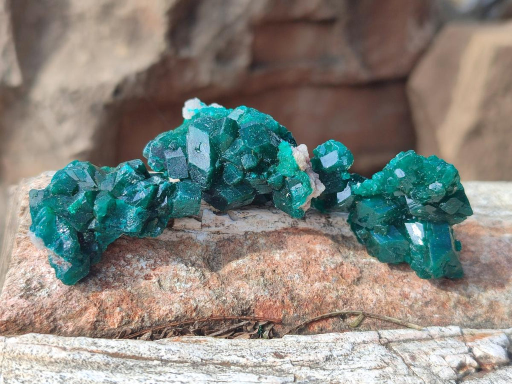 Natural Small Dioptase Specimens on Dolomite Matrix x 20 From Tantara Mine, Congo