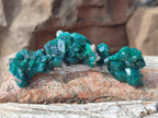 Natural Small Dioptase Specimens on Dolomite Matrix x 20 From Tantara Mine, Congo