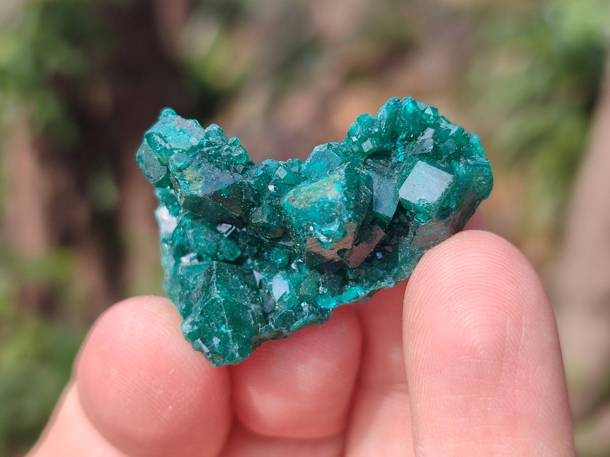 Natural Small Dioptase Specimens on Dolomite Matrix x 20 From Tantara Mine, Congo