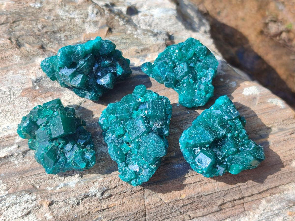 Natural Small Dioptase Specimens on Dolomite Matrix x 20 From Tantara Mine, Congo