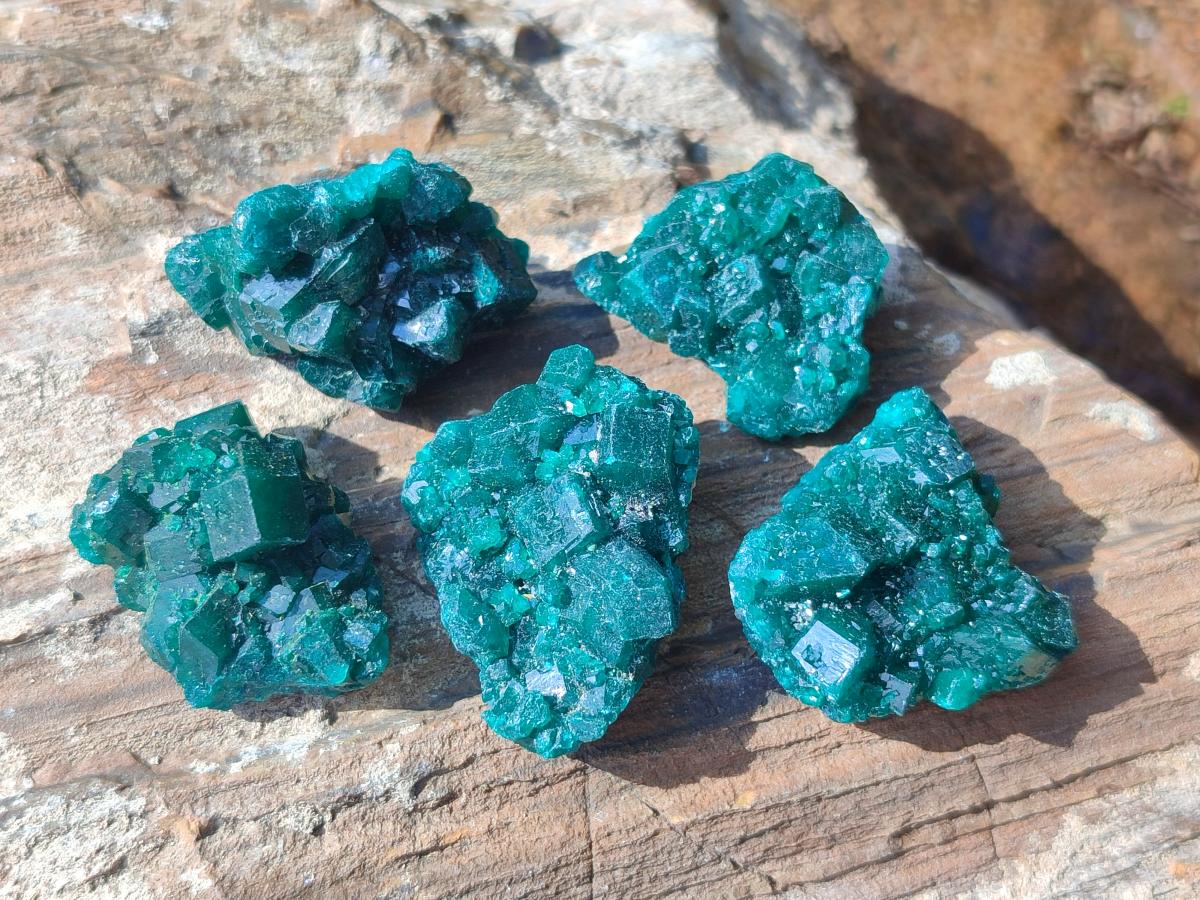 Natural Small Dioptase Specimens on Dolomite Matrix x 20 From Tantara Mine, Congo