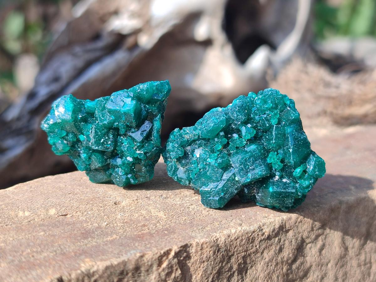 Natural Small Dioptase Specimens on Dolomite Matrix x 20 From Tantara Mine, Congo