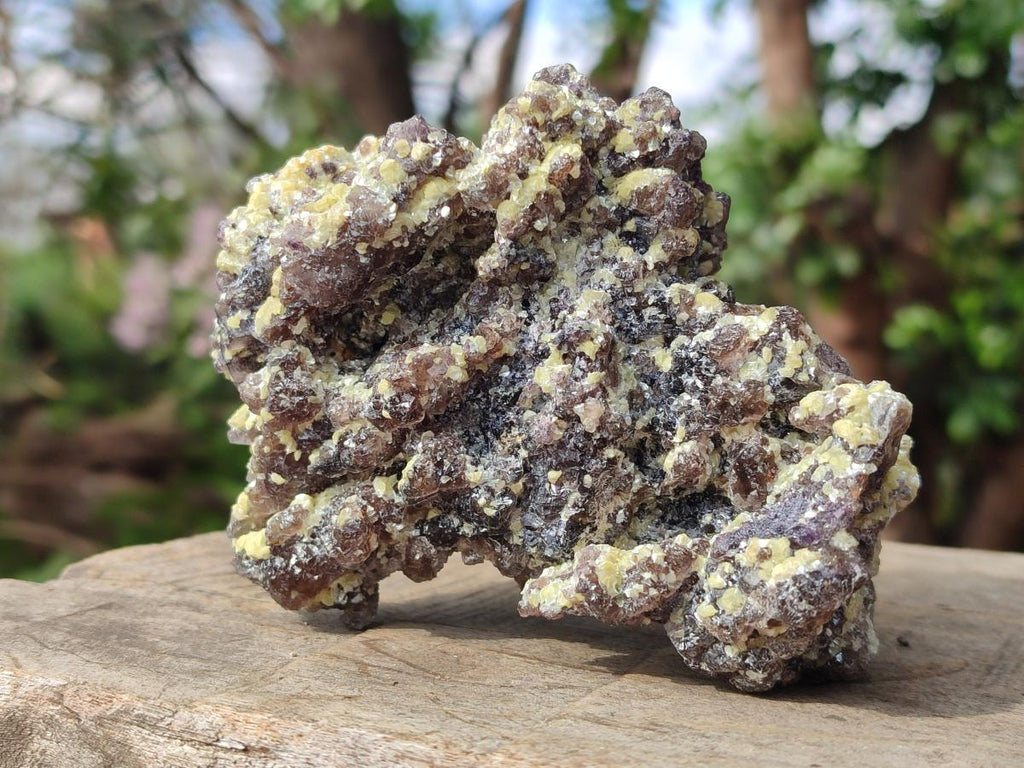 Natural Smokey Fluorite Specimens with Yellow Muscovite Mica x 6 From Erongo, Namibia