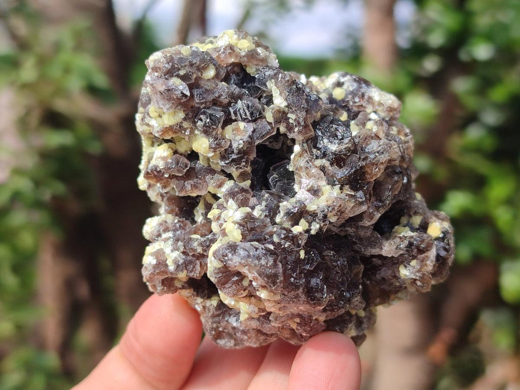 Natural Smokey Fluorite Specimens with Yellow Muscovite Mica x 6 From Erongo, Namibia