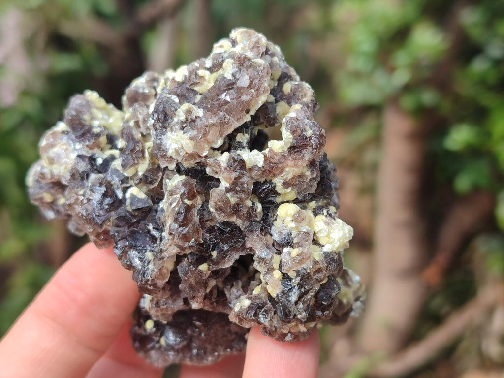 Natural Smokey Fluorite Specimens with Yellow Muscovite Mica x 6 From Erongo, Namibia
