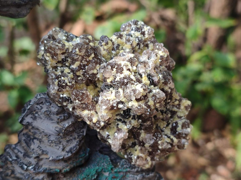 Natural Smokey Fluorite Specimens with Yellow Muscovite Mica x 6 From Erongo, Namibia