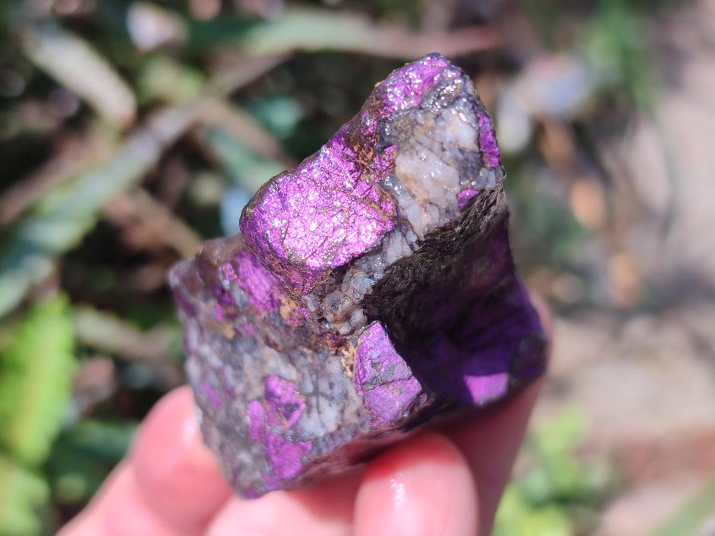 Natural Metallic Cobbed Purpurite Specimens x 12 From Erongo, Namibia