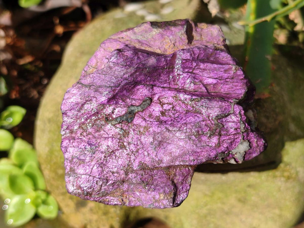 Natural Metallic Cobbed Purpurite Specimens x 12 From Erongo, Namibia