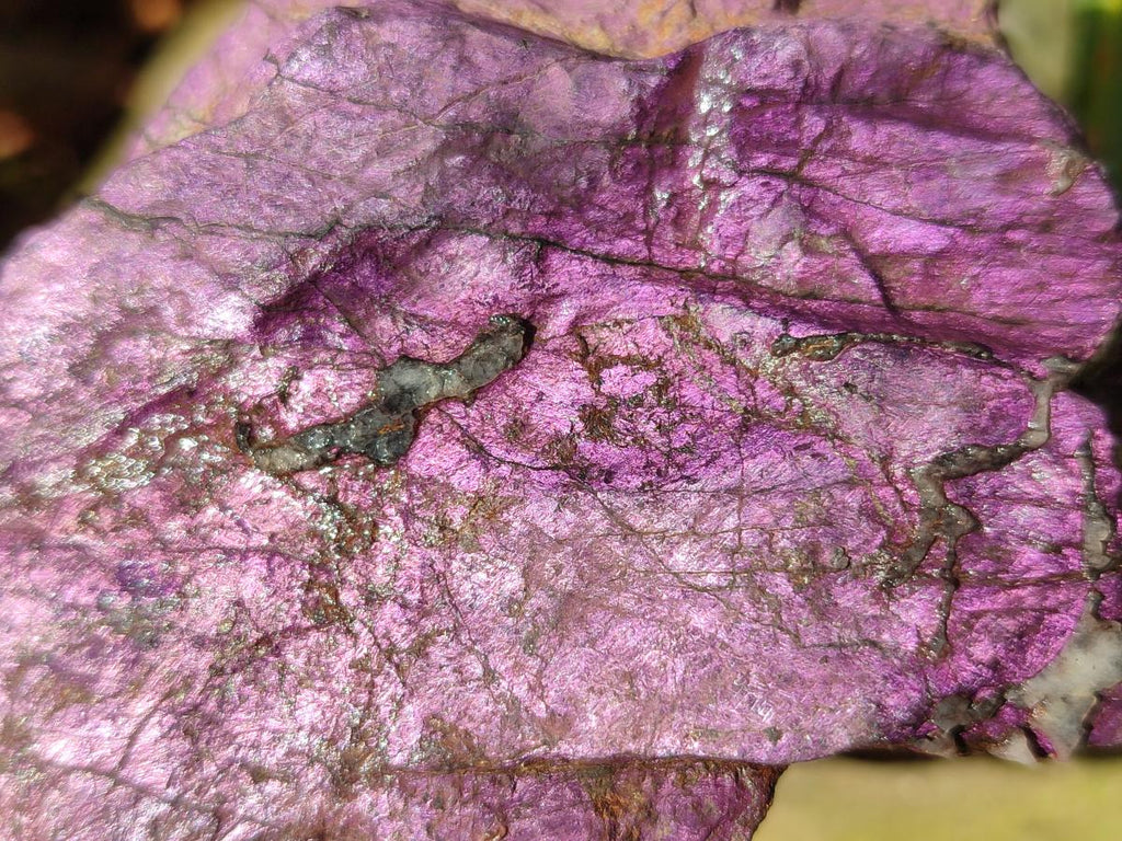 Natural Metallic Cobbed Purpurite Specimens x 12 From Erongo, Namibia