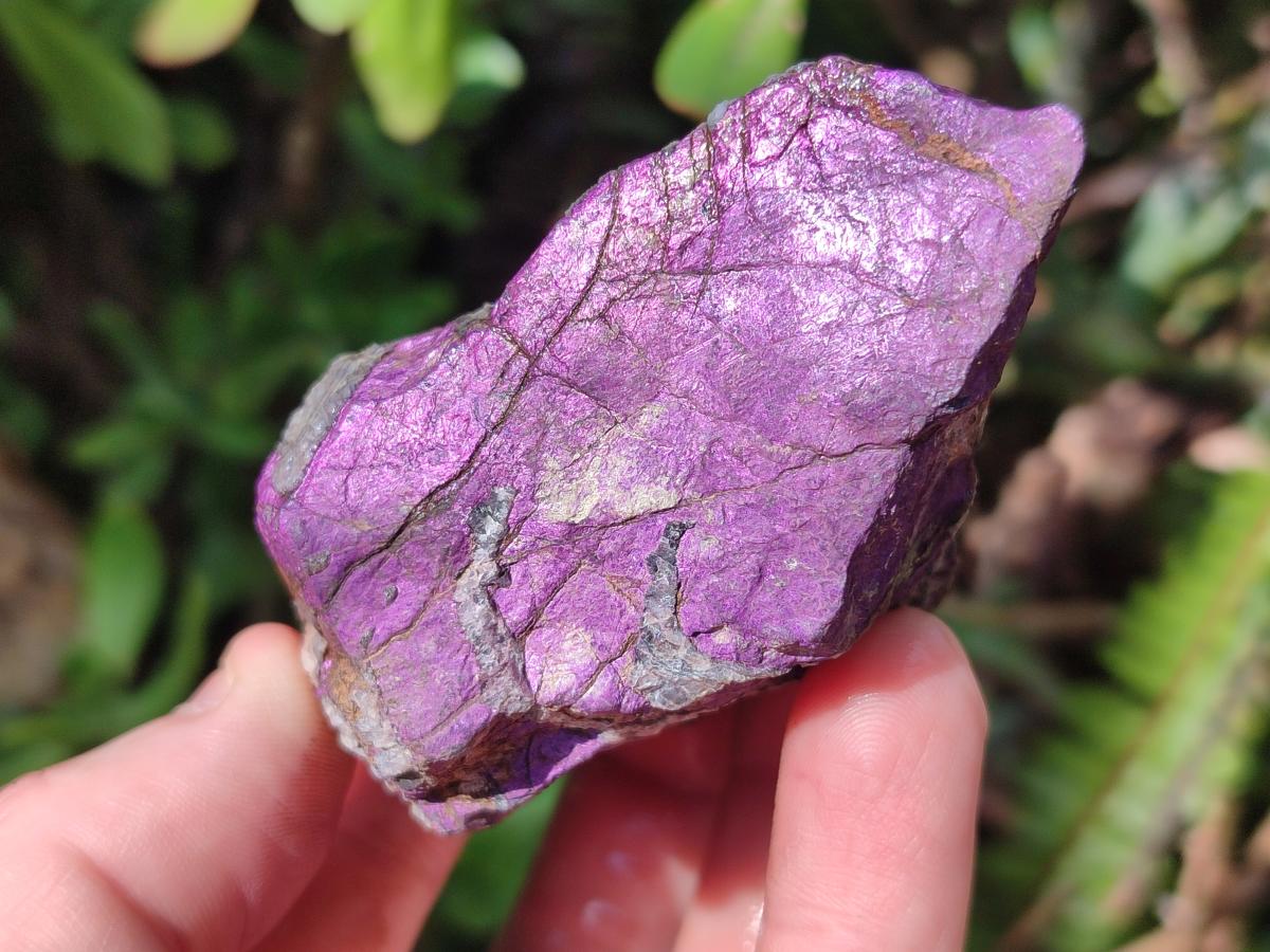Natural Metallic Cobbed Purpurite Specimens x 12 From Erongo, Namibia