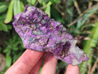 Natural Metallic Cobbed Purpurite Specimens x 12 From Erongo, Namibia