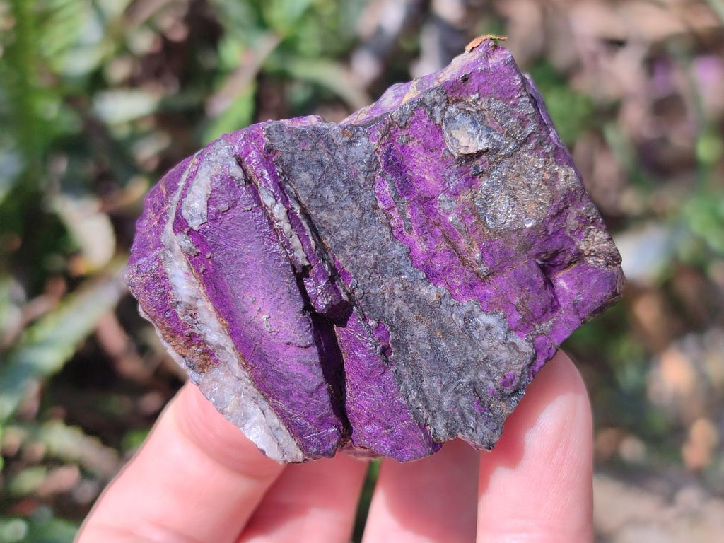 Natural Metallic Cobbed Purpurite Specimens x 12 From Erongo, Namibia
