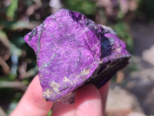Natural Metallic Cobbed Purpurite Specimens x 12 From Erongo, Namibia