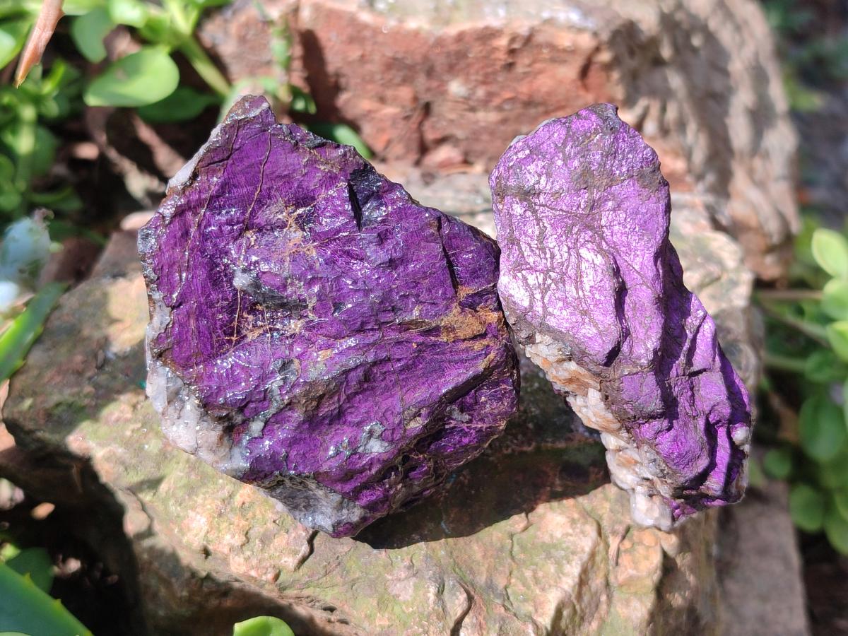 Natural Metallic Cobbed Purpurite Specimens x 12 From Erongo, Namibia