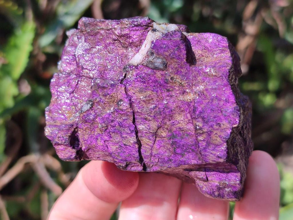 Natural Metallic Cobbed Purpurite Specimens x 12 From Erongo, Namibia