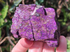 Natural Metallic Cobbed Purpurite Specimens x 12 From Erongo, Namibia