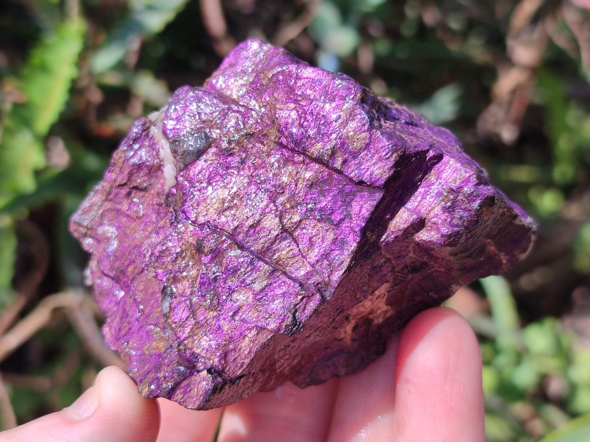 Natural Metallic Cobbed Purpurite Specimens x 12 From Erongo, Namibia